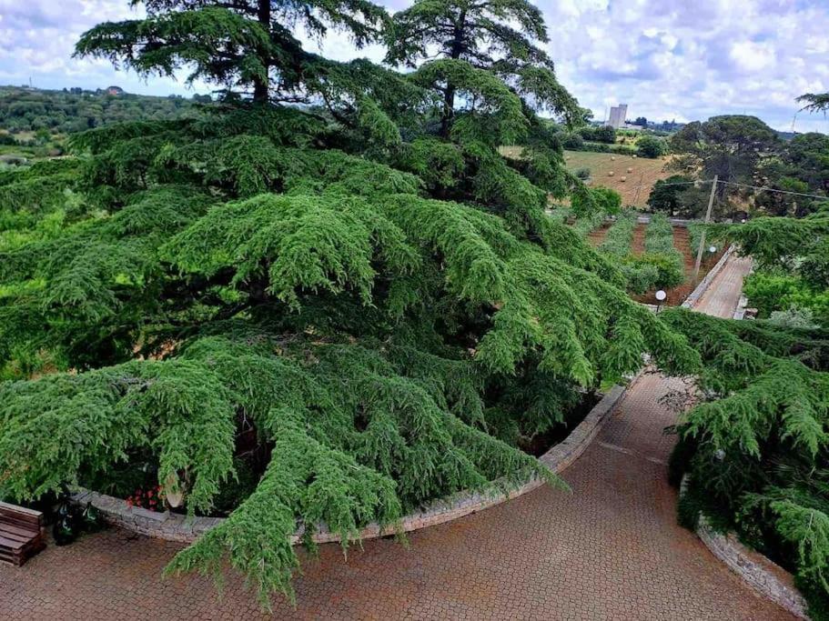 Casina Foggia Dell'Albero Apartment Putignano Exterior photo